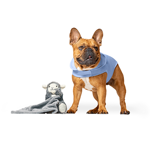 Canada Pooch Weighted Dog Toy - Grey