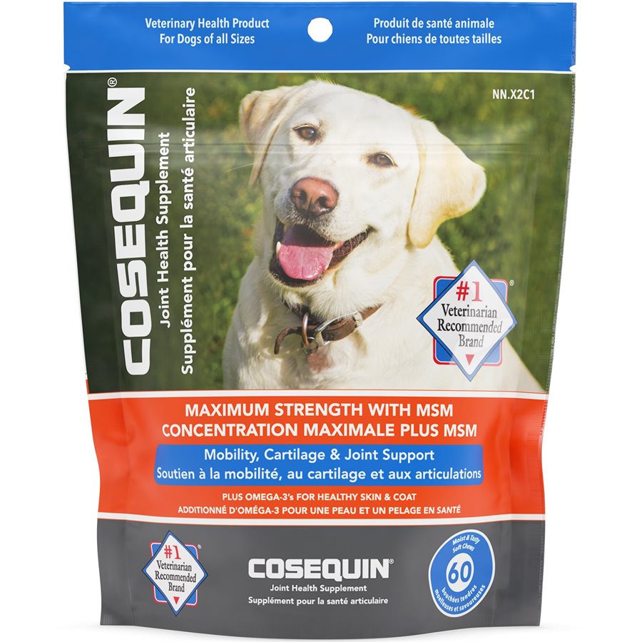 Nutramax Cosequin® Plus MSM & Omega-3's Soft Chews Joint Supplement for Dogs