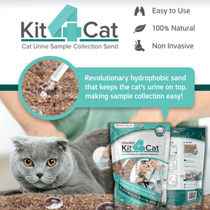 CheckUp Kit4Cat Cat Urine Sample Collection Kit