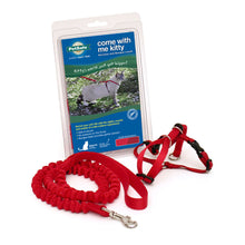 Charger l&#39;image dans la galerie, PetSafe Come with Me Kitty Harness and Bungee Leash

