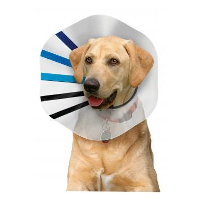 Kong EZ Clear Collar