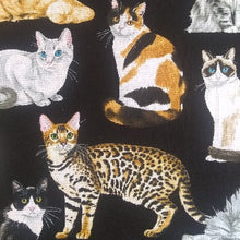Charger l&#39;image dans la galerie, Krazy Kitty - Refillable Catnip Blanket (assorted patterns)
