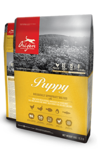 Orijen (Grain Free) Dry Dog Food