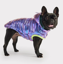 Charger l&#39;image dans la galerie, GF Pet Iridescent Recycled Parka
