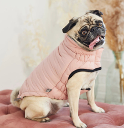 Gf Pet Reversible Chalet Jacket Pink