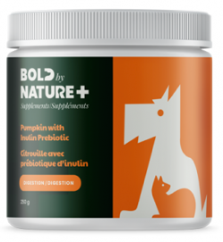 BOLD by Nature Pumpkin with Inulin Prebiotic (250g)