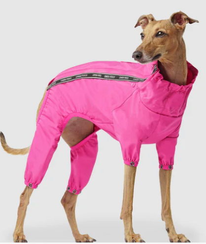 Canada Pooch Pink Slush Suit