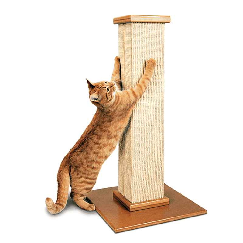Smart Cat The Ultimate Scratching Post