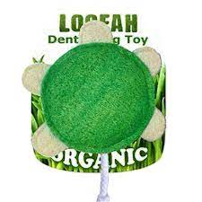 Hip Doggie Loofah Dental Dog Toys - Turtle