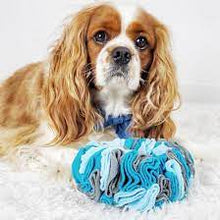 Load image into Gallery viewer, foufouBRANDS™ fouFIT™ Snuffle Ring Dog Toy
