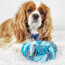 foufouBRANDS™ fouFIT™ Snuffle Ring Dog Toy