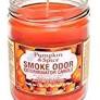 Pet Odor Exterminator Candle - Pumpkin & Spice