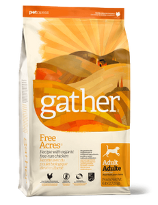 Gather -Vegan Dry Dog Food