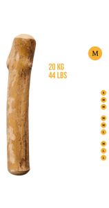 Canophera - Coffee Tree Wood Chew Stick