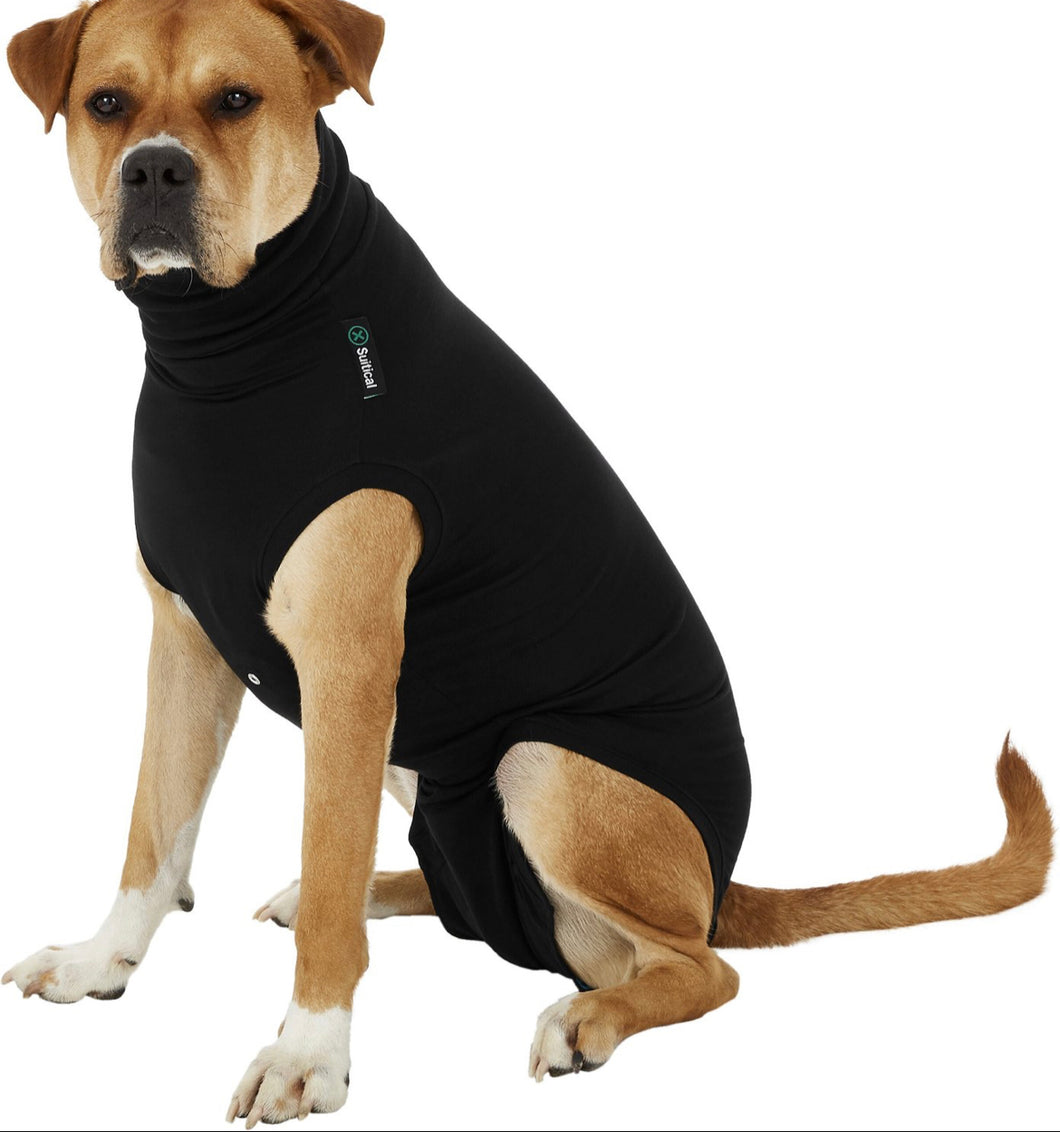 Suitical Recovery Suit - Dog (Black) – Animalerie Little Bear Pet Supplies