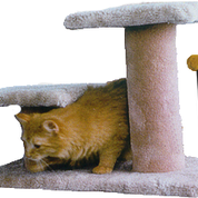 16" Cat Post 2 Steps (assorted colours)