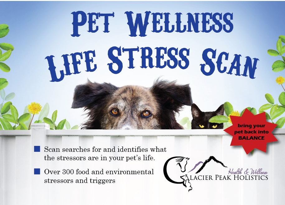 Glacier Peak Pet Wellness Life Stress Scan